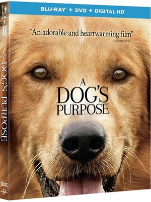 Qua la zampa! (2016) Full Bluray AVC DTS-HD ITA ENG Sub