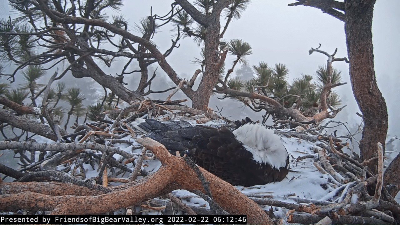 Webp.net-gifmaker (3)