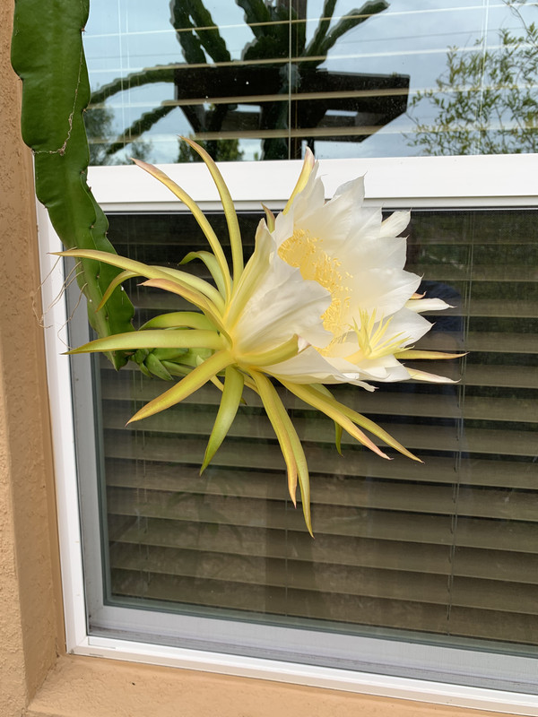 BDE9D50A-24AA-4799-B16D-59412C547825