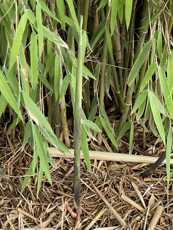 AF06F1C3-BF73-4DDC-995E-3B7E30CC1BC2