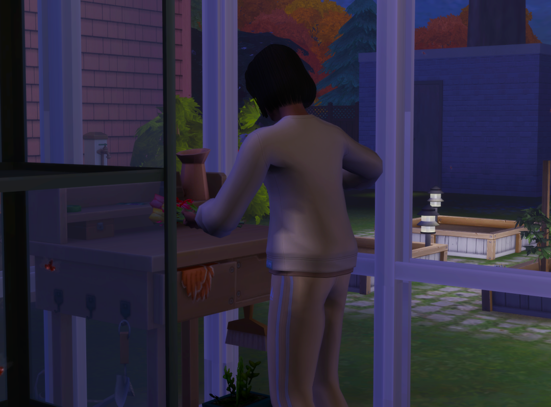Sims2-EP9-RPC-2024-09-29-20-15-07-28