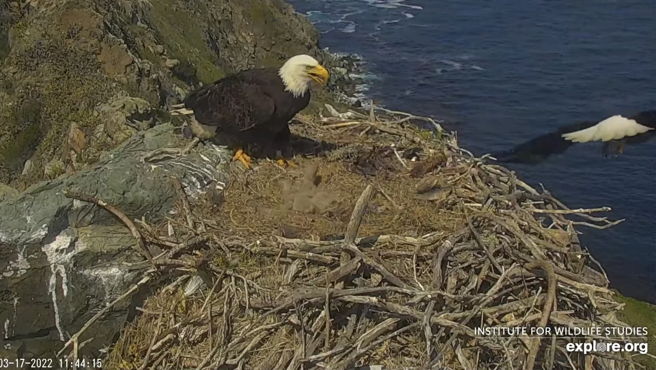 D033E13E-5339-479F-9161-D65F3AA6F3B7