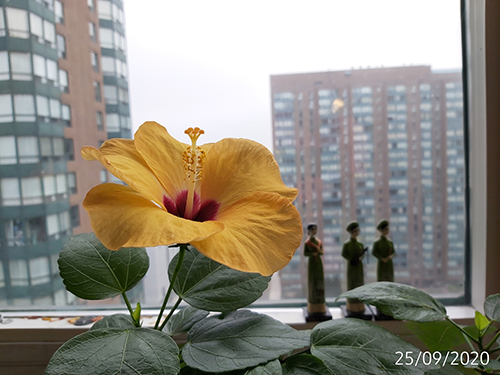 [Image: IMG-20200925-081846.jpg]