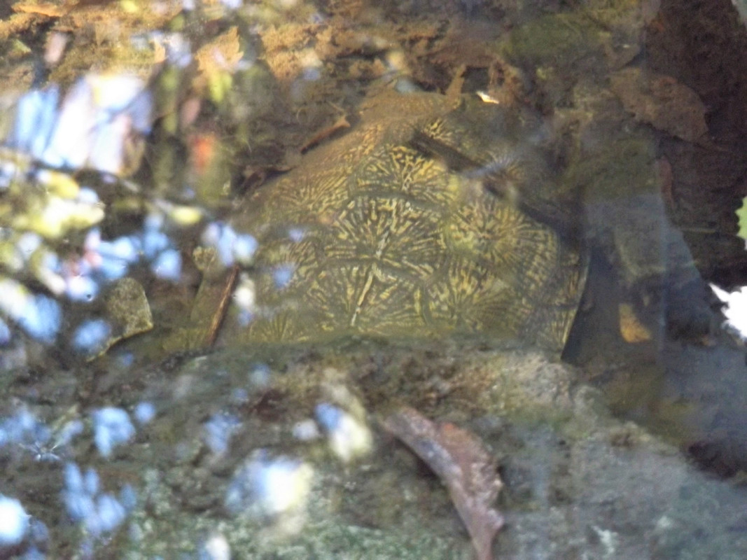 DSCF7964-2.jpg
