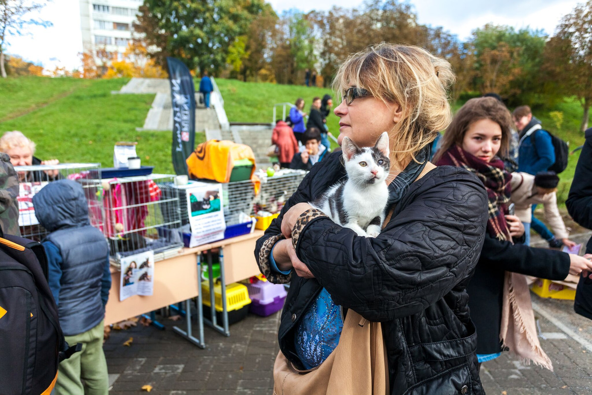 6D32CCB6-4976-4F89-BA49-A76DD994C2C8