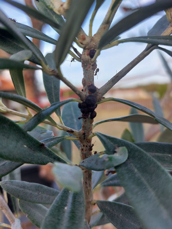 0-02-05-b250050044daeb82ccd1b1632120d054f75fc9818f0c941a236deffe1e1ebd97_efe5f142de79e80f