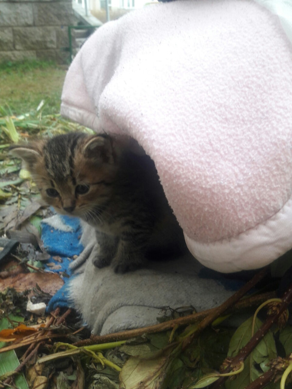 изображение_viber_2019-10-09_15-43-19