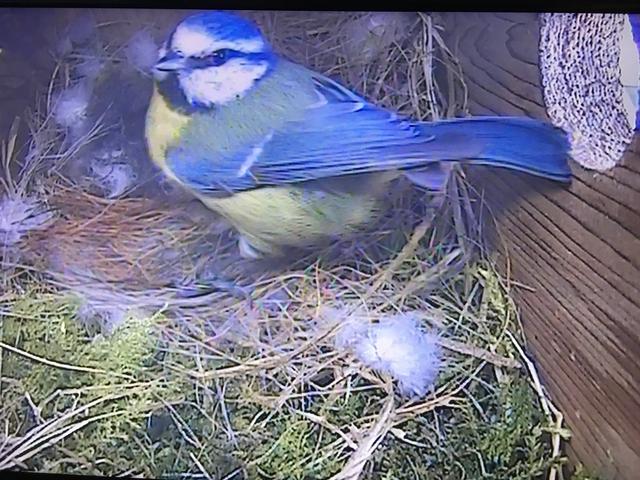 249571D5-37FC-4123-BF4D-AEE708DFB842