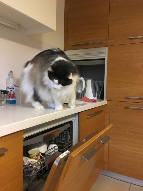 04-DFA11-A-55-D1-452-C-BB91-E16-FA9-E44-