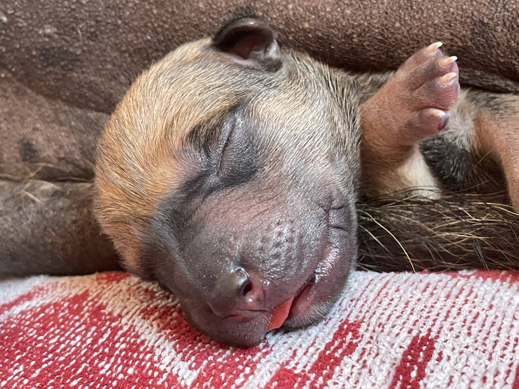 5997C4BB-10C1-4D9C-AE15-B692C2F752AC