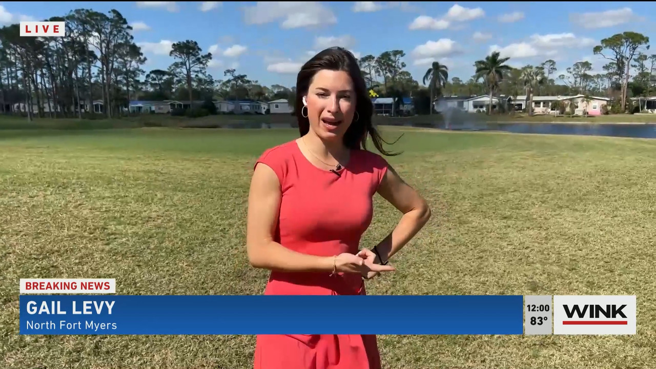 02.02 - 17.00.00 - The WINK Noon News  ᴺᵉʷ. Midday news update..ts_snapshot_06.41.568