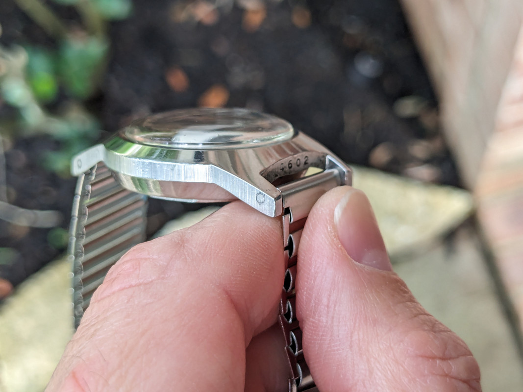 PXL_20240503_220613454