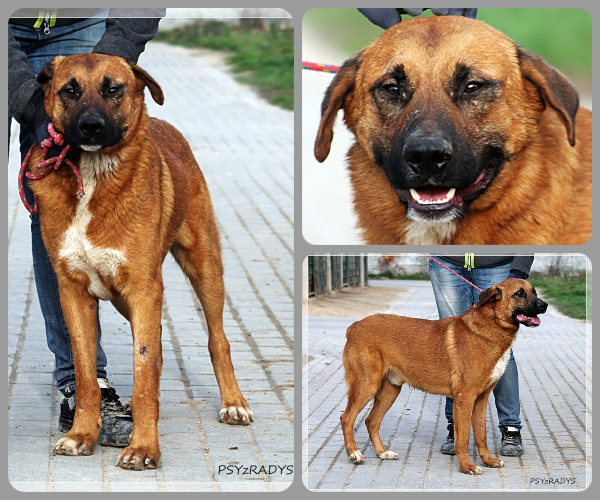 BeFunky-collage (27)