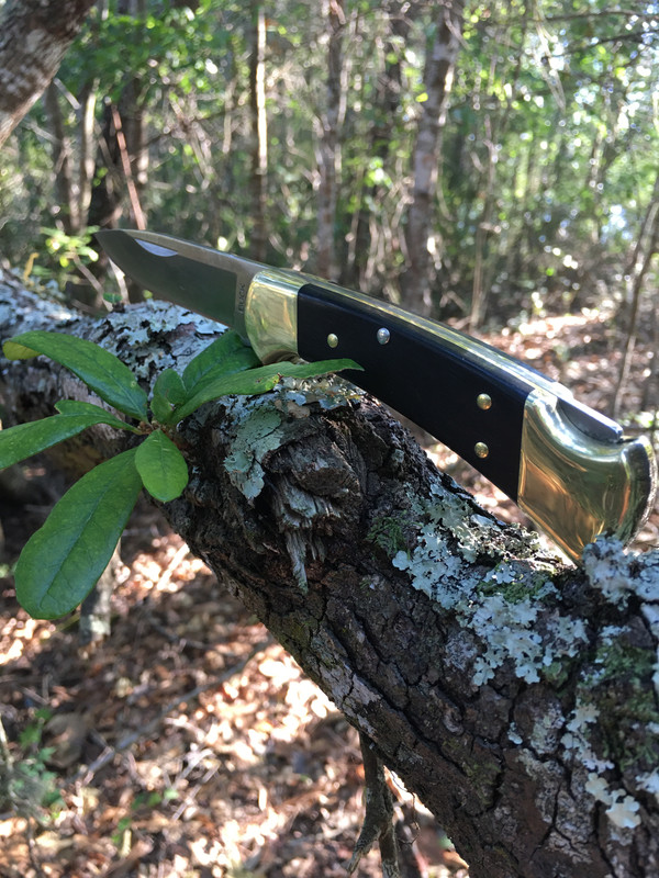 930A29C9-4972-44E0-BB30-F5993AAFAB7E