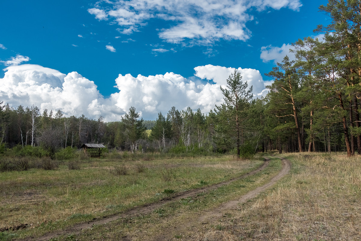 без имени-23