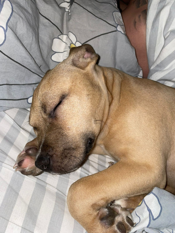 D3E25E2F-4C33-451A-B09A-B8B823BB08AF