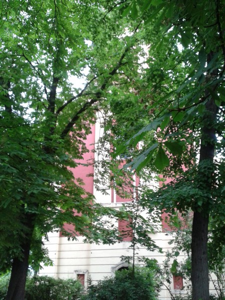 Slika