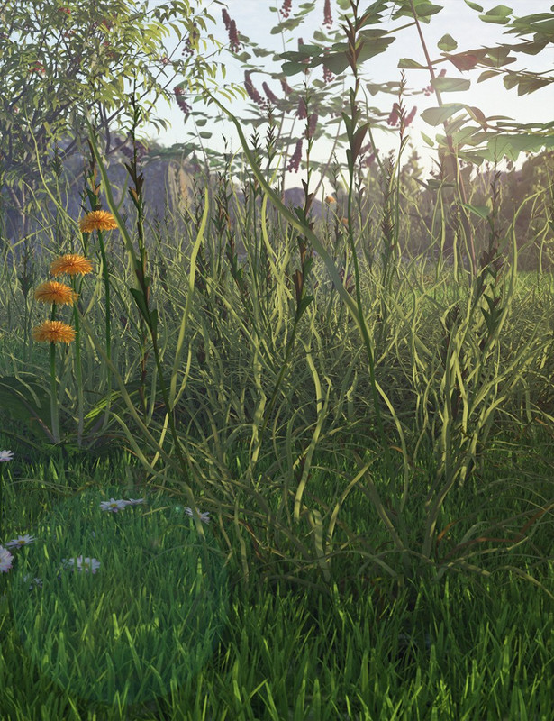 Simply Grass - The Rough Stuff Simply Grass - The Rough Stuff