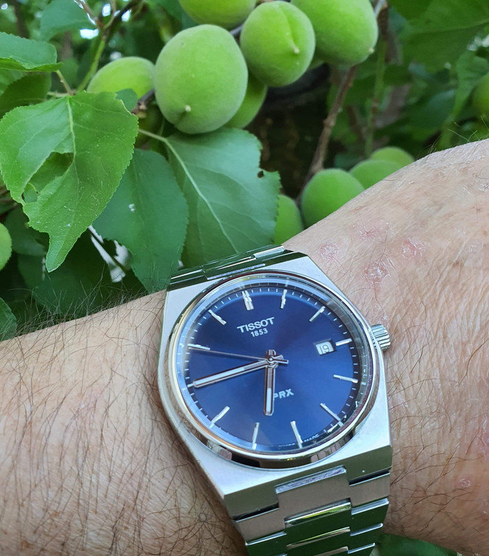 E1E666D0-33C3-4C8F-9BBC-338BA23D12DA