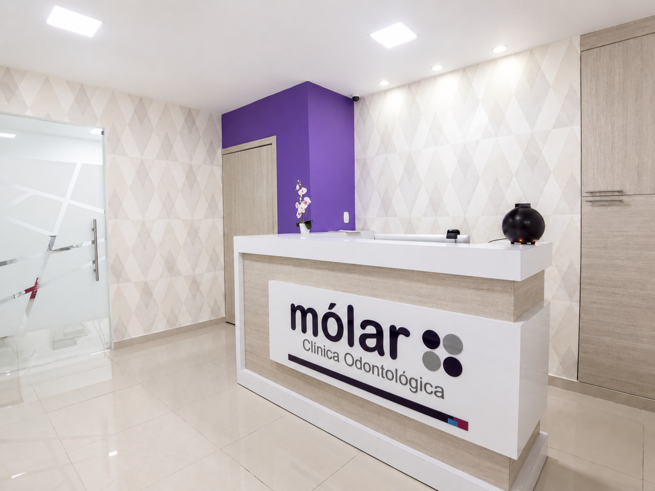 Sillón Odontológico Molar