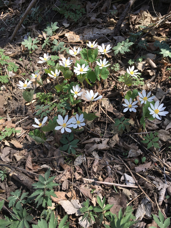 66B5D514-08B1-4CCE-9B99-70FF82EF9101