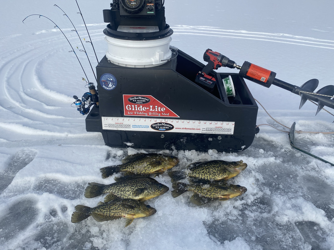 85C8128A-04E4-42D1-9596-F55B95F4A310