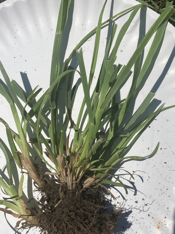 0B384E22-F479-4ADA-9C72-AD2C2E8B71E2