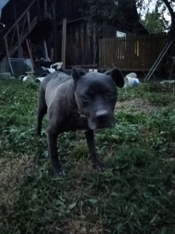 3BA1CFF4-9610-42FE-8FDC-609BABE92899