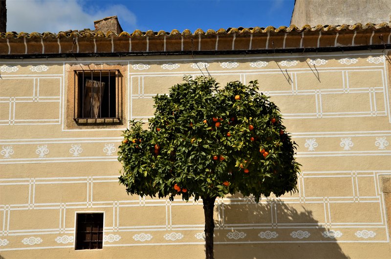 VALDEFUENTES-11-3-2021 - Extremadura y sus pueblos -2010-2023 (13)