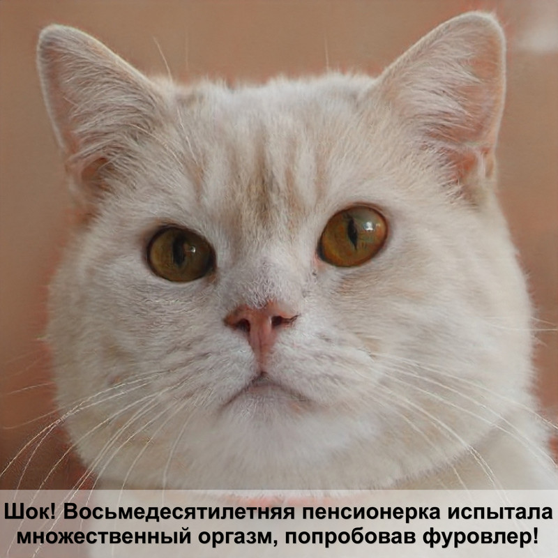 сибирская кошка тигровый окрас