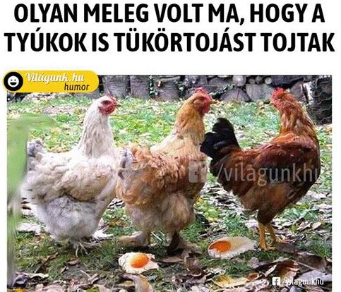 https://i.postimg.cc/g2HYf07k/olyan-melegvolt.jpg