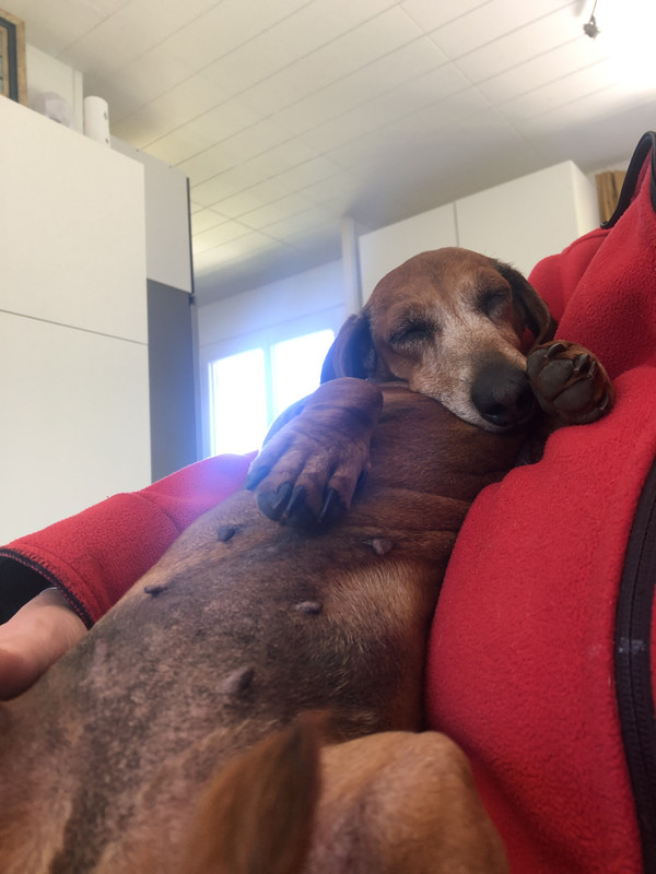 [Image: IMG-3470.jpg]