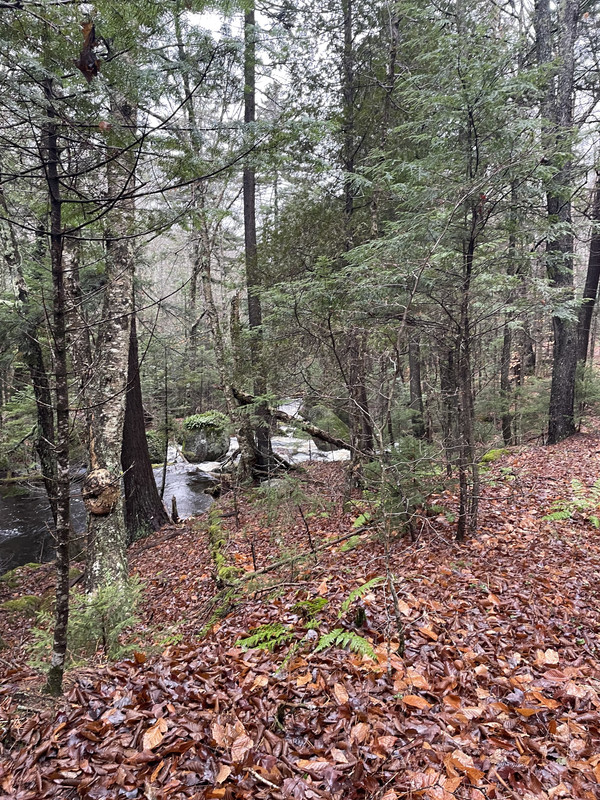 41C5041F-ACAA-4D62-B9EF-A3C44C9606C1