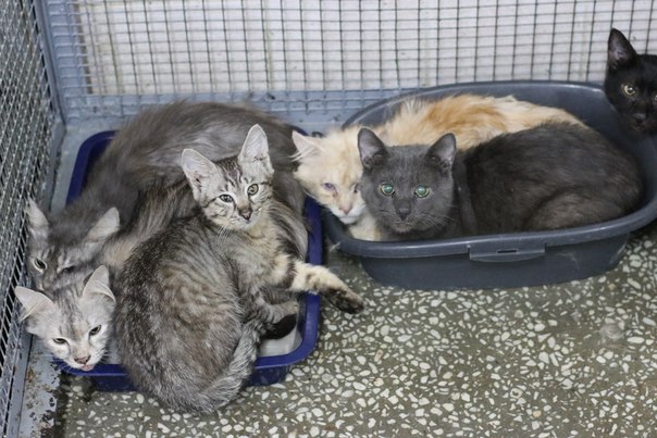 64EF05B0-8791-41CC-AEE4-74C7FCBCF103