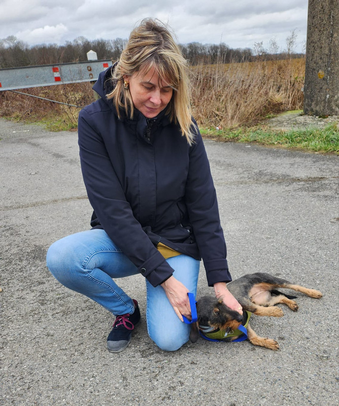 [Image: IMG-20240209-WA0004.jpg]