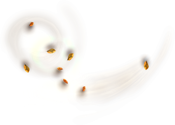 143790068_LMB_Fall_Bounty_Element_51