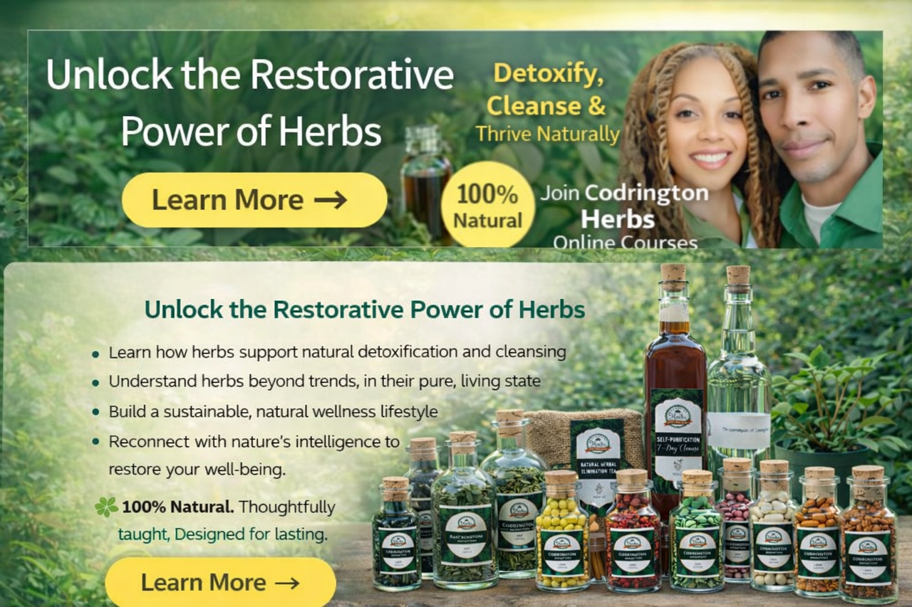 Explore Codrington Herbs