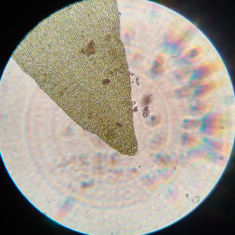 IMG 20250616 220922 HDR