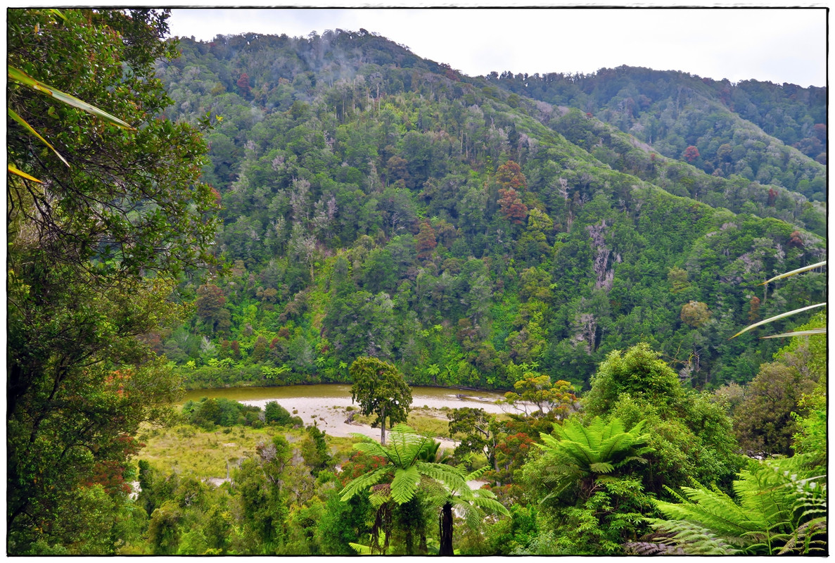 Kahurangi NP: Heaphy Track (Navidad 2020, III) - Escapadas y rutas por la Nueva Zelanda menos conocida (29)