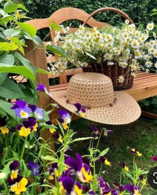 Screenshot_20230405_233516_Pinterest