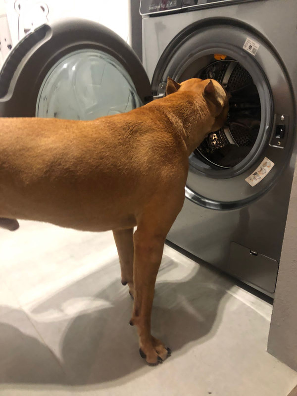 3E18A103-525A-45A4-889E-10AA68648C73