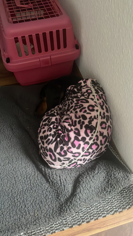 AE083421-8430-4A38-9349-7B2ED671653B