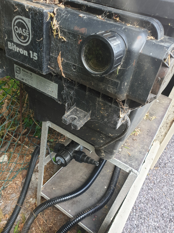 15921370811256449275781694971616