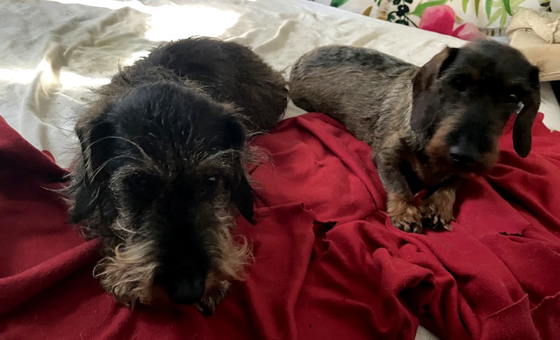 [Image: IMG-1403.jpg]