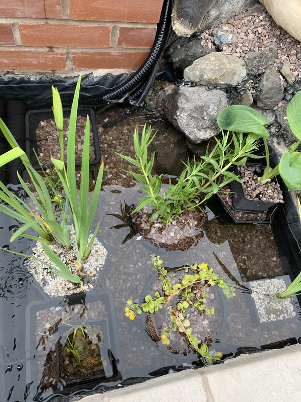 145D164A-CF3A-4234-AEED-D21AC9946945