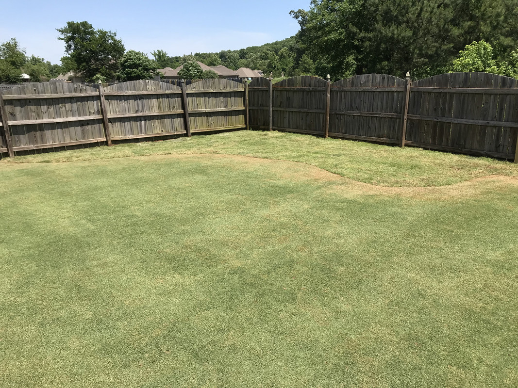 C4AA03D1-5CBC-46B7-95D8-559159D7EFFA