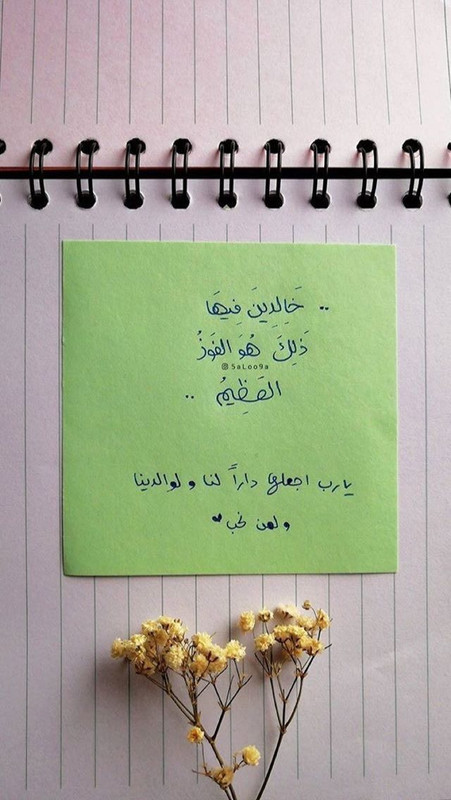 D3817194-AEF2-406D-8F86-B5AB23C8B504