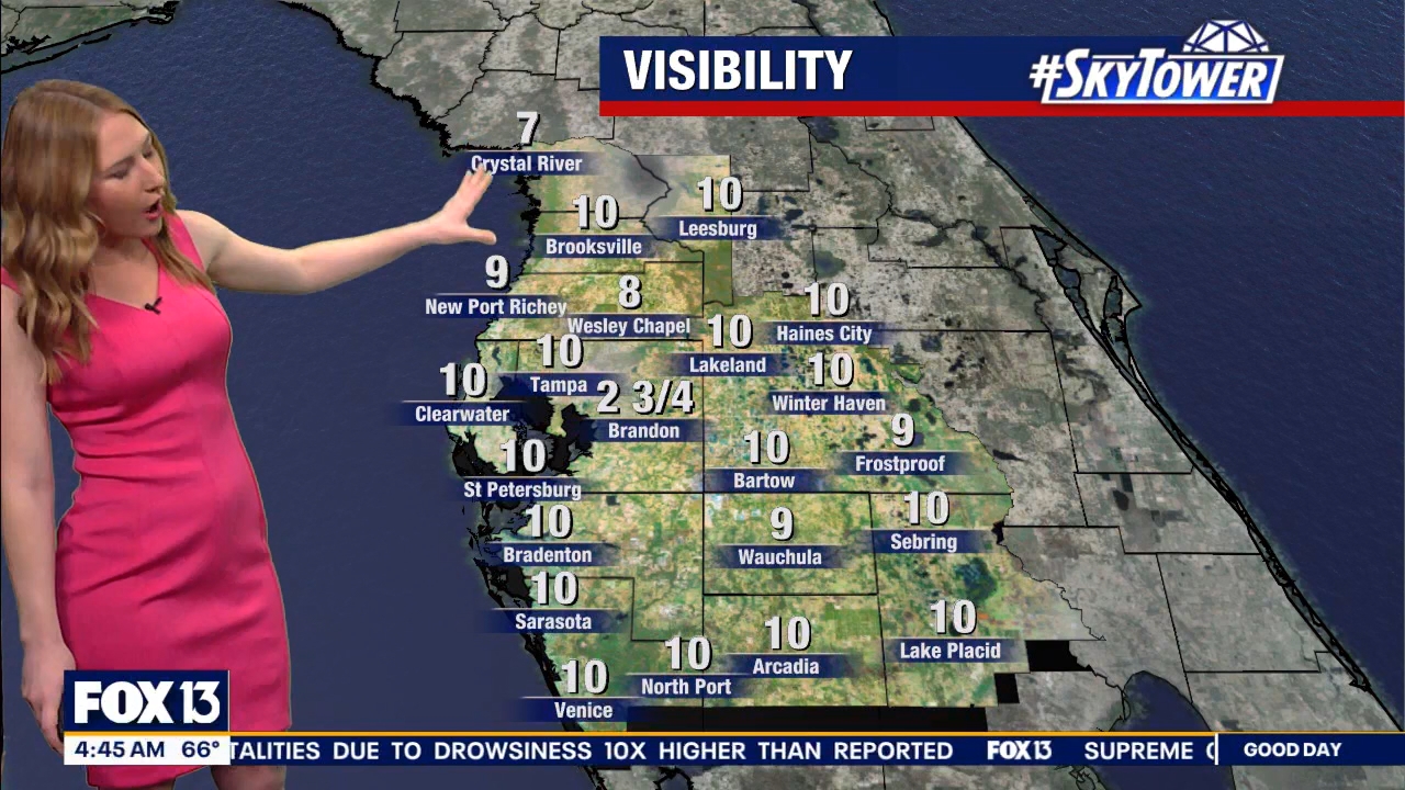 FOX13s Good Day Tampa Bay at 400am_20240307_09000930.ts_snapshot_46.24.387