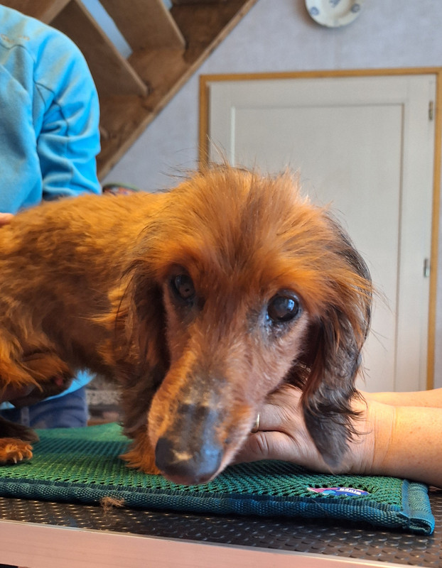 [Image: 20240430-193946.jpg]