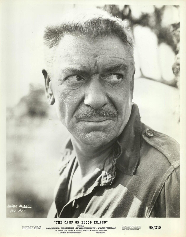 camp blood island 58 hammy1a